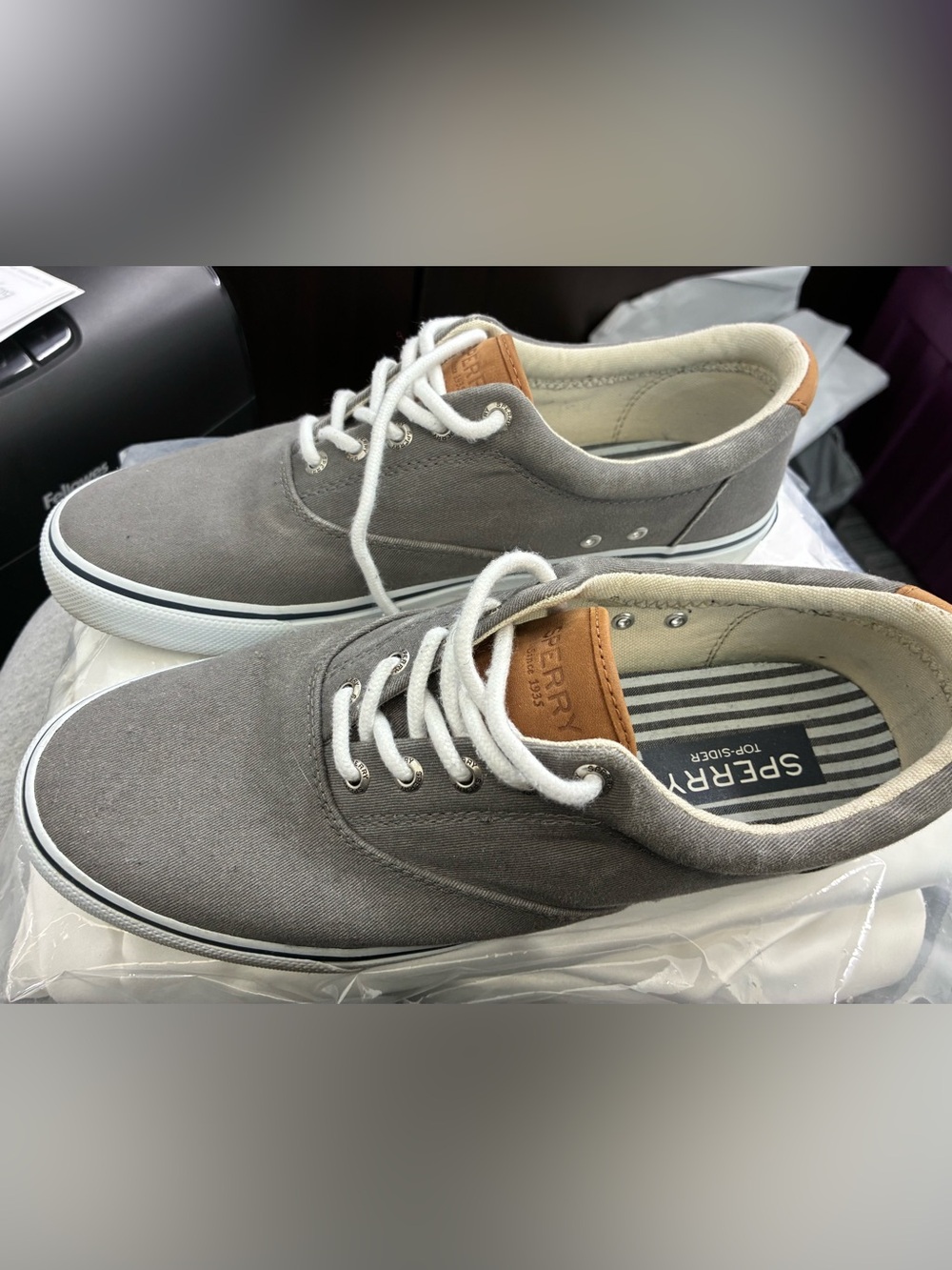 Sperry Men's Gray Canvas Low-Top Sneakers with White Laces